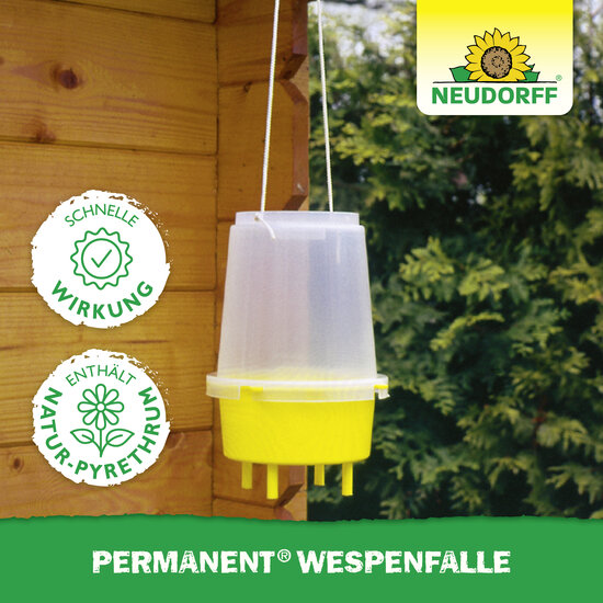 Permanent WespenFalle Sprechende Bilder Bild 5