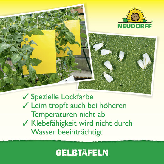Gelbtafeln (großformatig) Sprechende Bilder Bild 5