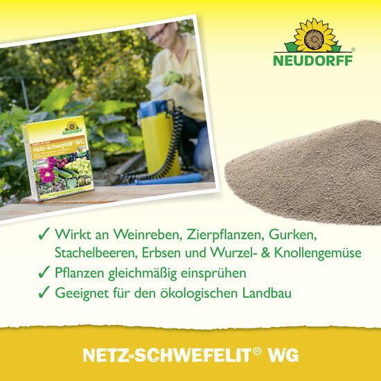 Netz-Schwefelit WG Sprechende Bilder Bild 4