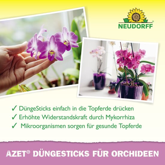 Azet Düngesticks für Orchideen Sprechende Bilder Bild 4
