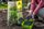 Neudorff_Terra_Preta_BodenVerbesserer_0003.jpg