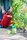 Neudorff_BioKraft_Vitalkur_fuer_Obst___Gemuese_0001.jpg