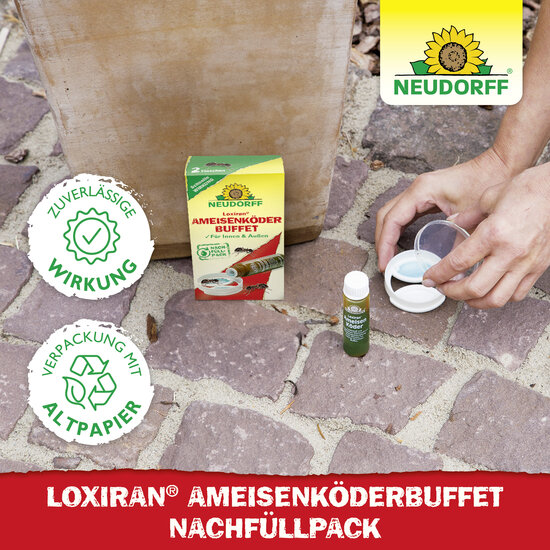 Loxiran Ameisenköderbuffet Nachfüllpack Sprechende Bilder Bild 5