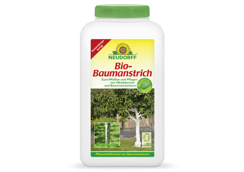 Baumanstrich