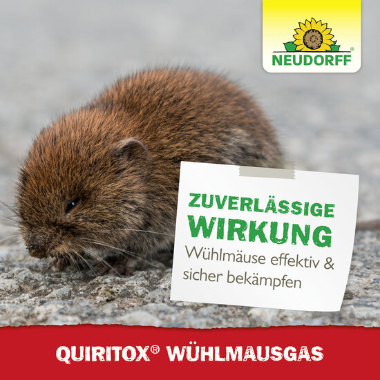 Quiritox WühlmausGas Sprechende Bilder Bild 7