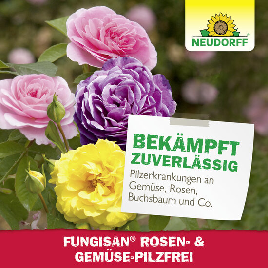 Fungisan Rosen- und Gemüse-Pilzfrei Sprechende Bilder Bild 7