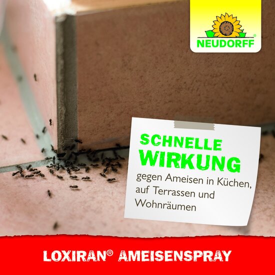 Loxiran Ameisenspray Sprechende Bilder Bild 6 Loxiran Ameisenspray Sprechende Bilder Bild 6