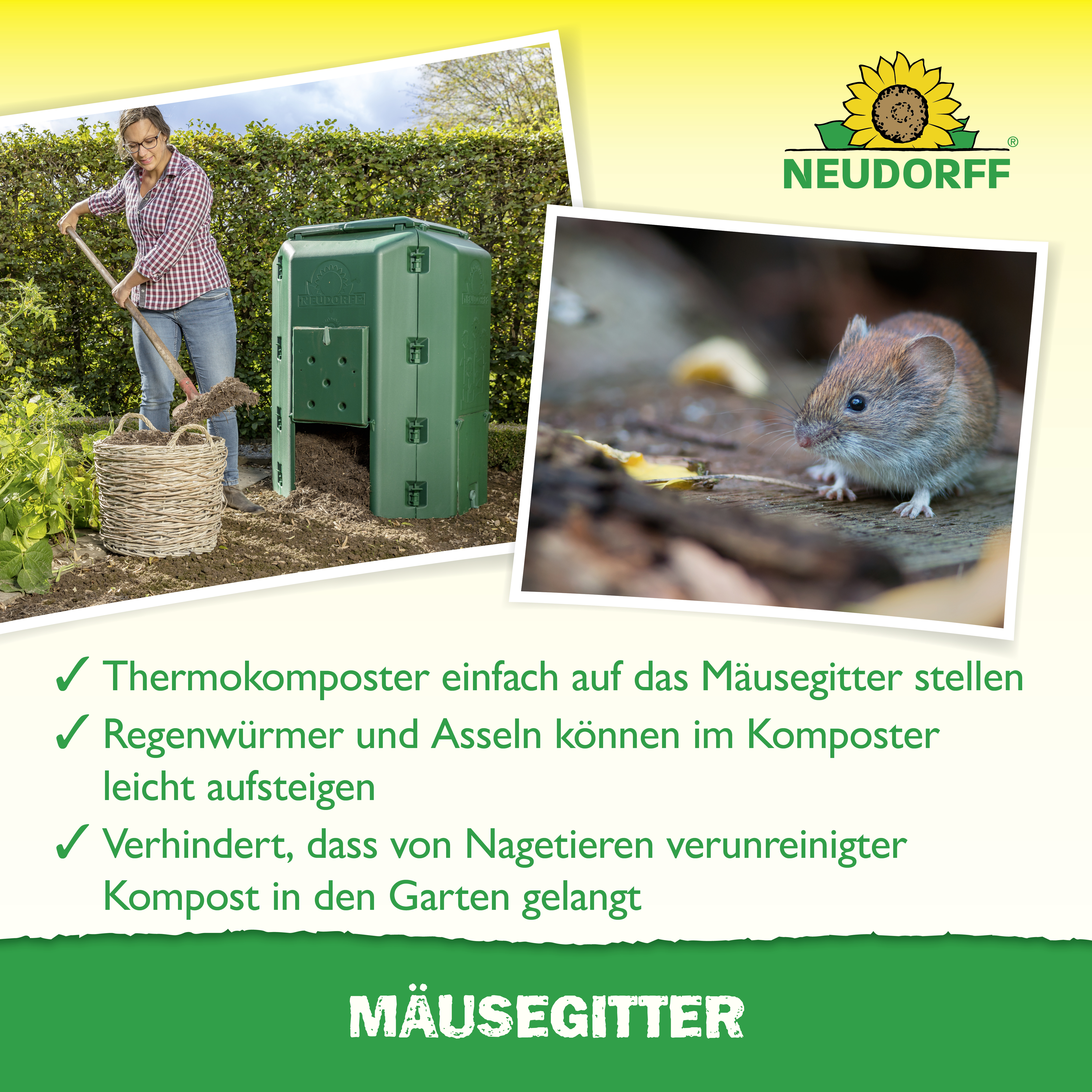 Bild 5 von 8