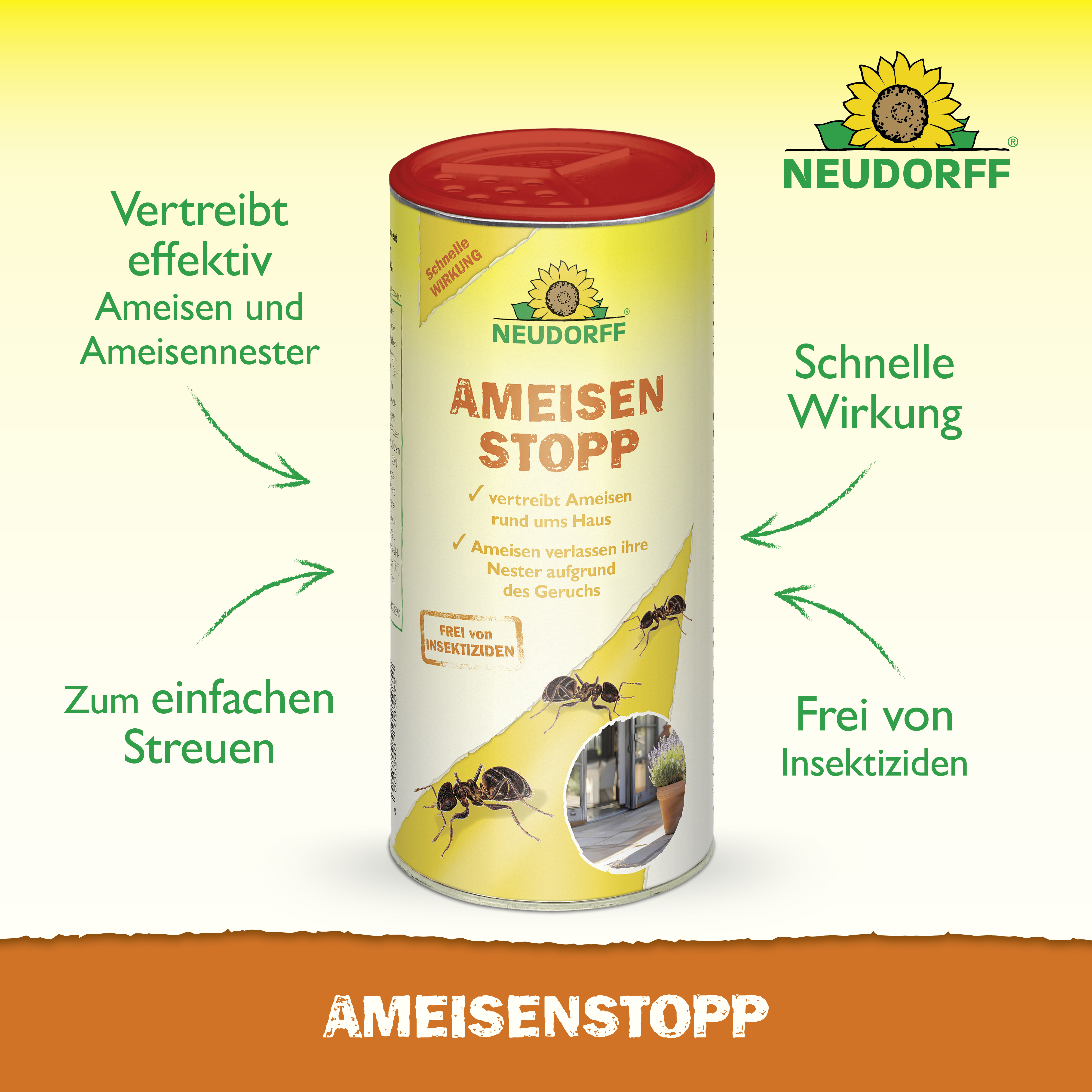 Bild 3 von 14