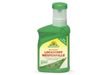 Permanent Lockstoff WespenFalle
