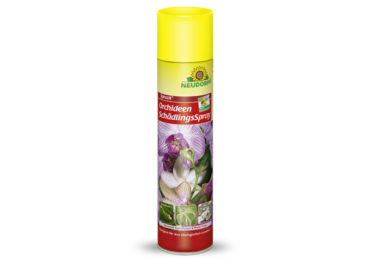 Spruzit OrchideenSchädlingsSpray
