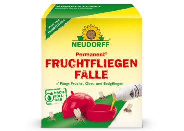 Permanent FruchtfliegenFalle