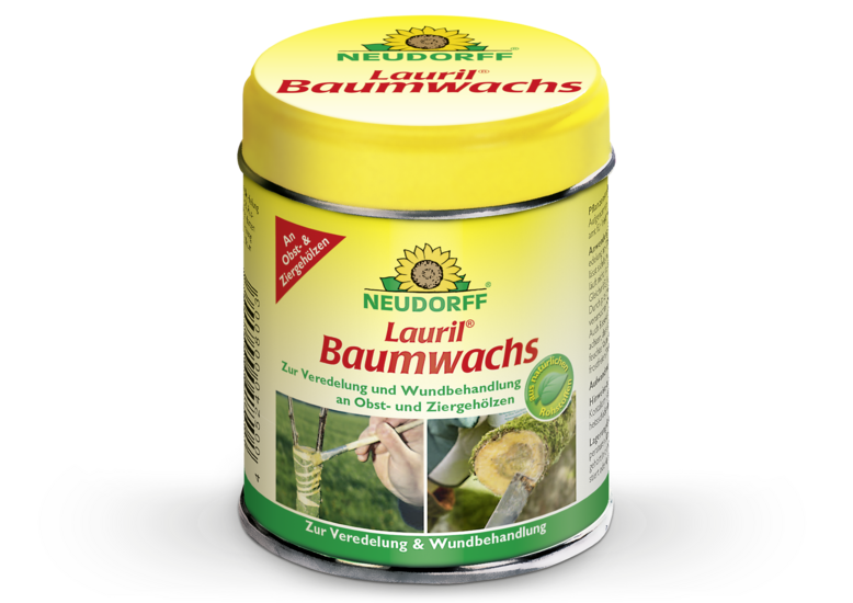Lauril Baumwachs