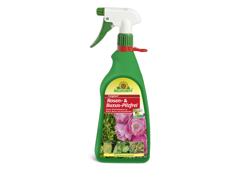 Fungisan Rosen- und Buxus-Pilzfrei