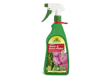 Fungisan Rosen- und Buxus-Pilzfrei
