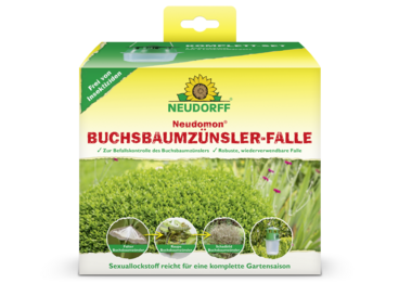 Neudomon BuchsbaumzünslerFalle