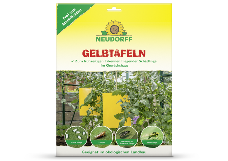 Gelbtafeln (großformatig)