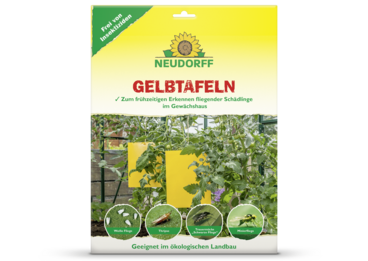 Gelbtafeln (großformatig)