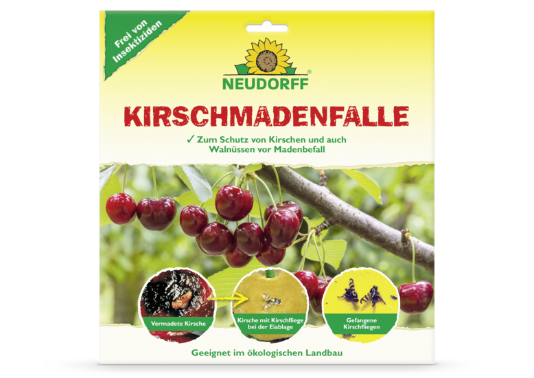 KirschmadenFalle