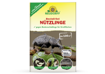 Bestell-Set Nützlinge für Großflächen