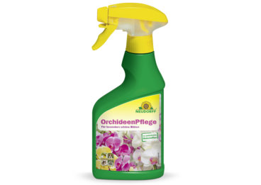 OrchideenPflege
