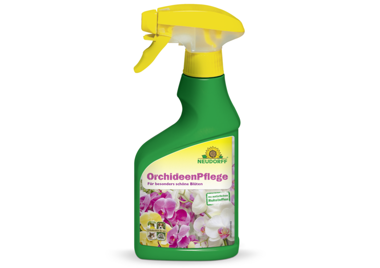 OrchideenPflege